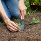 Drop irrigation in modern greenhouses