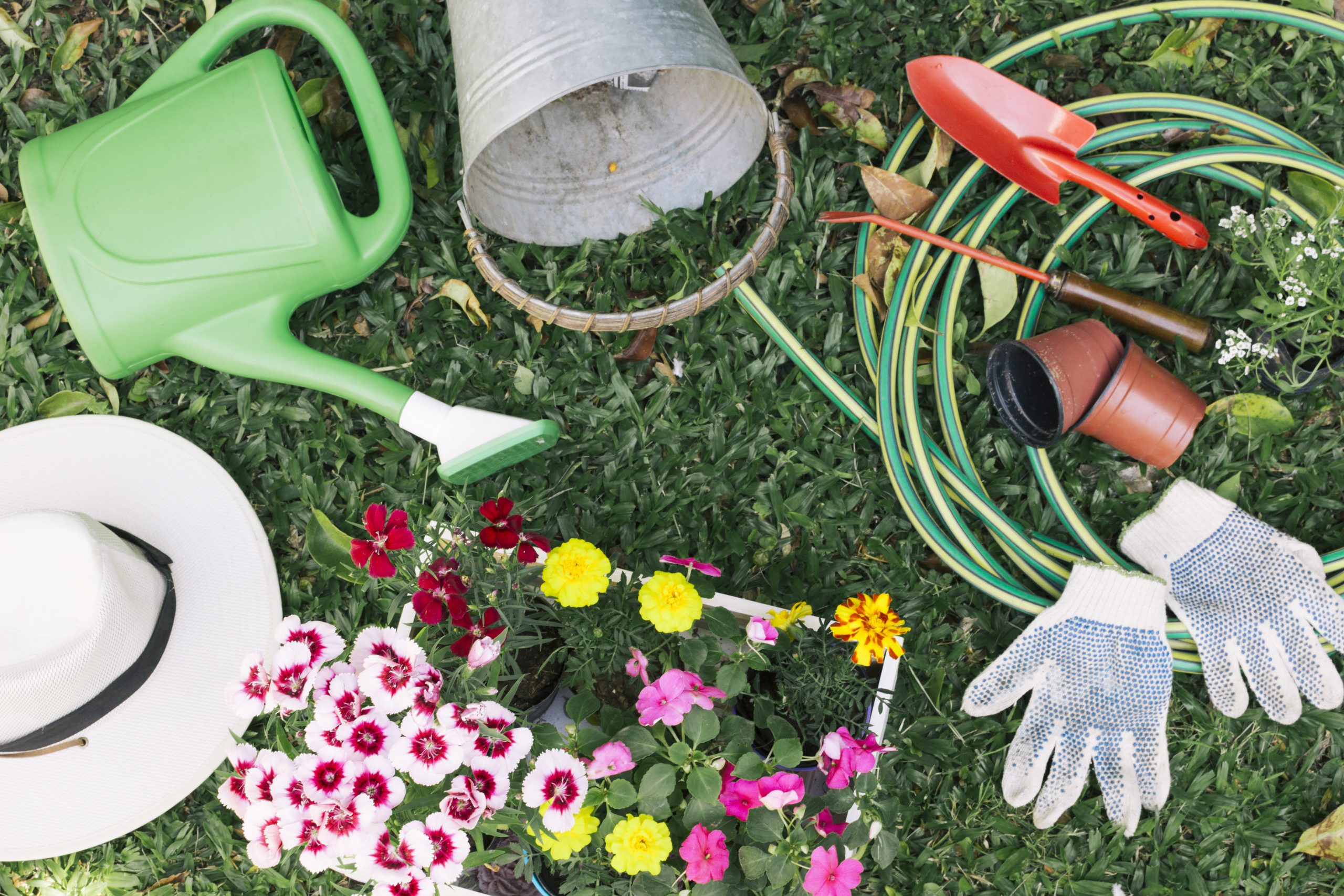 Drop irrigation in modern greenhouses